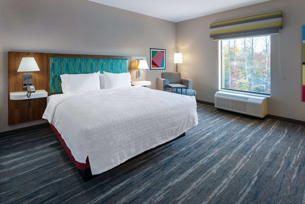 Room, 1 King Bed, Accessible (Roll-In Shower) - Photo 4