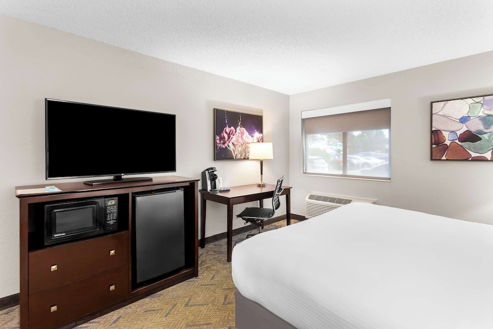 Standard Room, 1 King Bed, Non Smoking, Refrigerator & Microwave - Photo 4