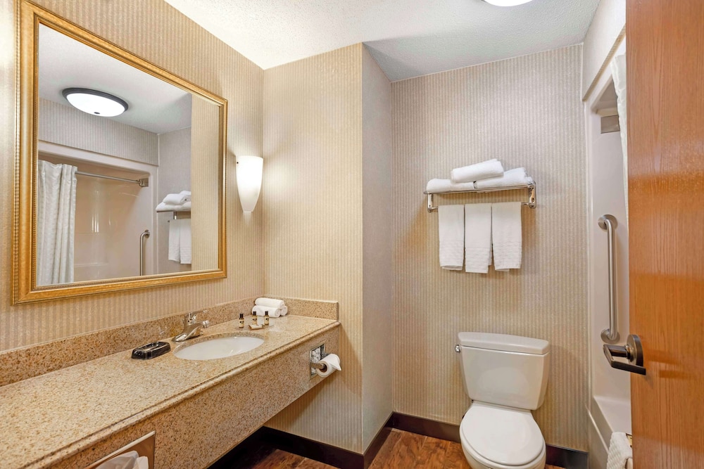 Suite, 1 King Bed with Sofa bed, Accessible, Refrigerator & Microwave (with Sofabed) - Photo 4
