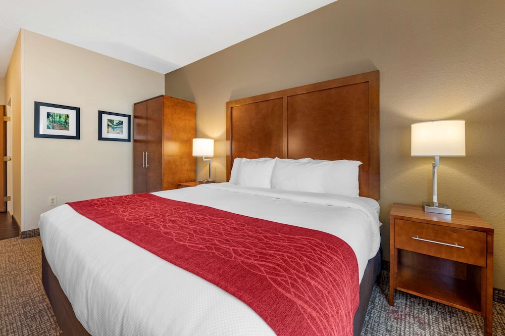 Suite, 1 King Bed with Sofa bed, Non Smoking - Photo 4