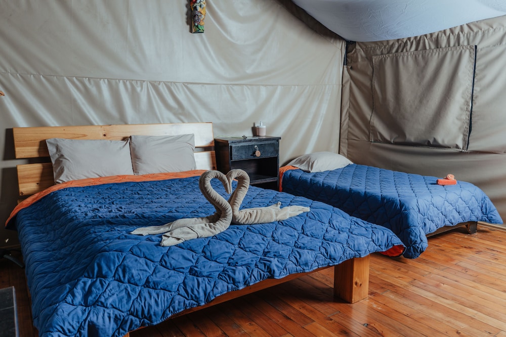 Standard Room photo 1
