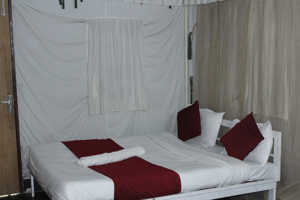 Luxury Camp photo 1