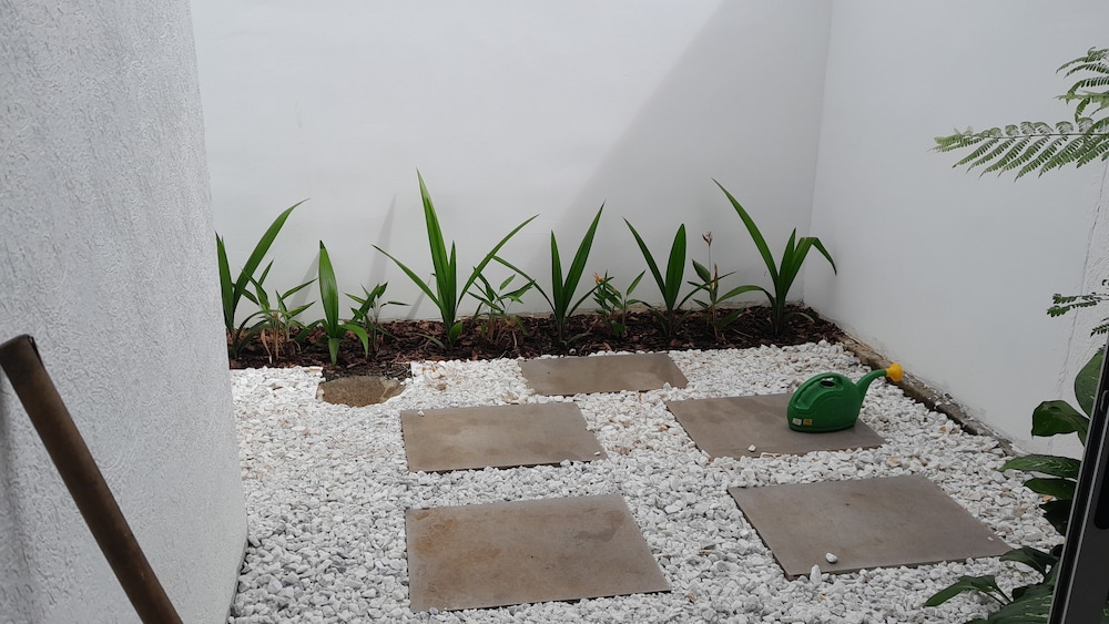 Basic House photo 2