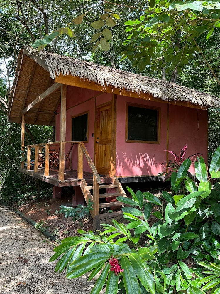 Jungle Dorm photo 2