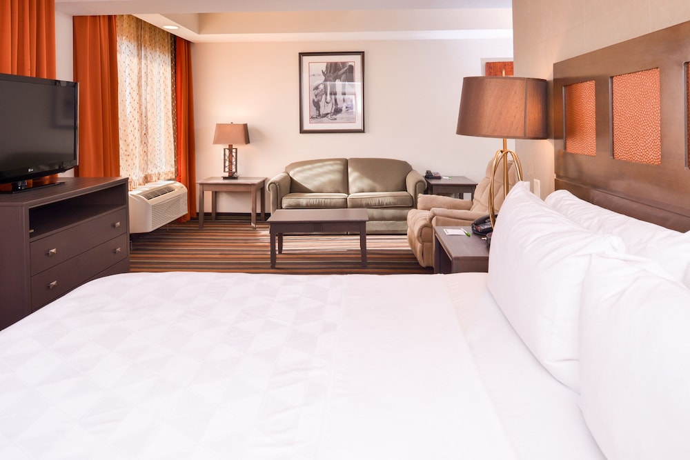 Holiday Inn Amarillo West Medical Center by IHG, Bild 8