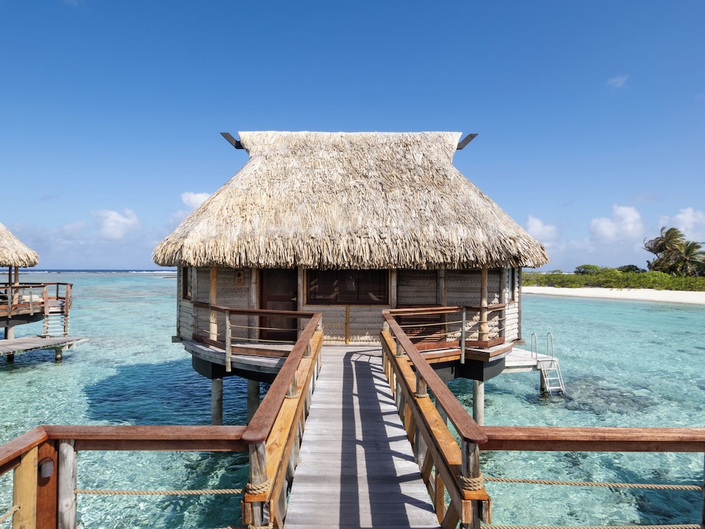 Premium Bungalow, Overwater photo 3