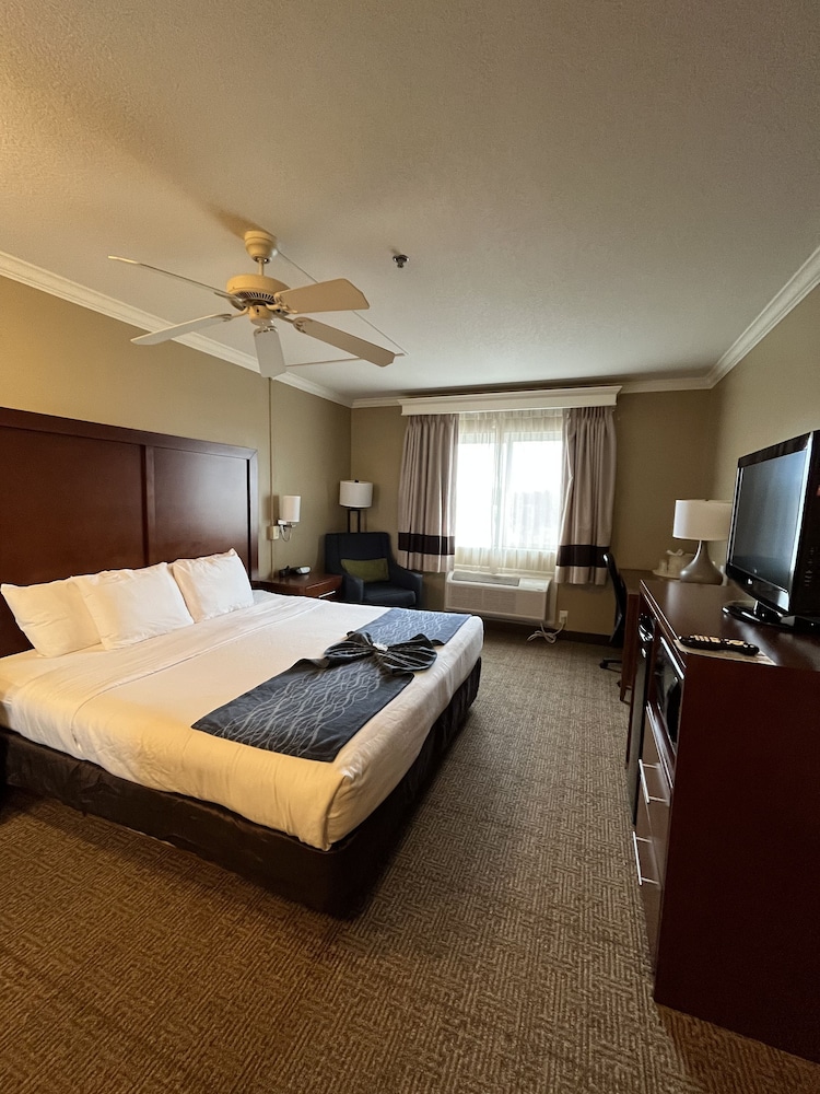 Standard Room, 1 King Bed, Non Smoking - Photo 4