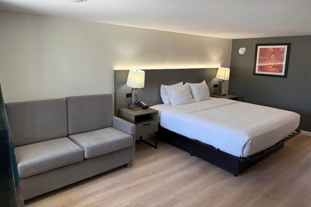 Suite, 1 King Bed, Non Smoking photo 1