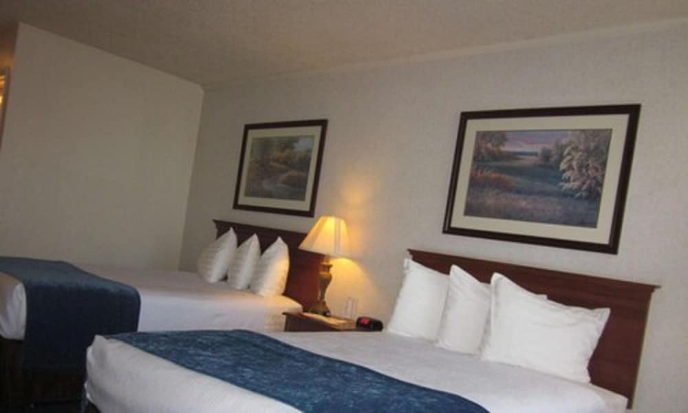 Standard Room, 2 Double Beds, Refrigerator & Microwave photo 2