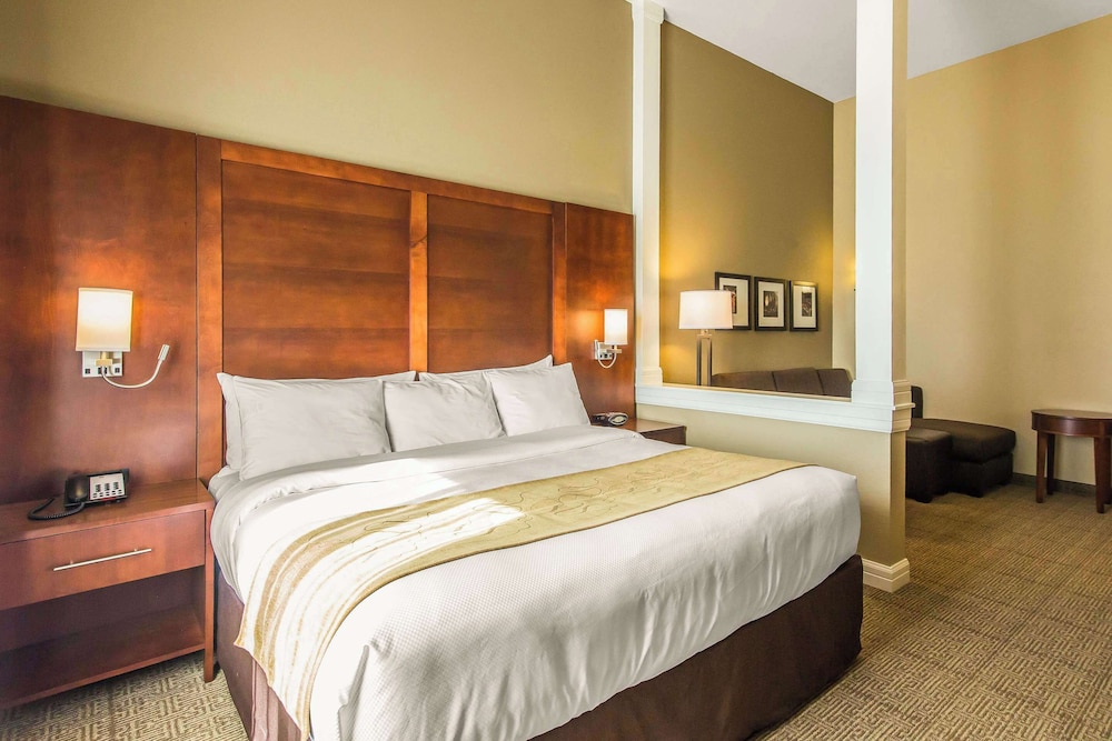 Suite, 1 King Bed with Sofa bed, Accessible, Non Smoking photo 2