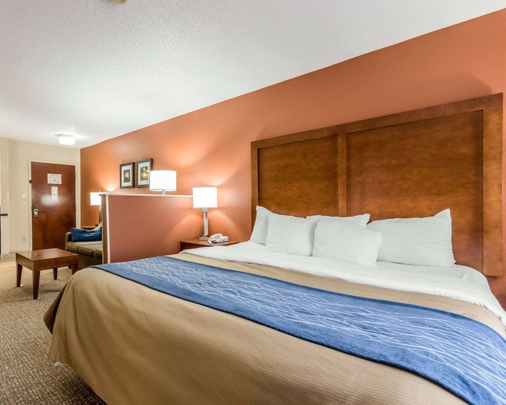 Suite, 1 King Bed with Sofa bed, Non Smoking (1 Person Sofa Bed) photo 1