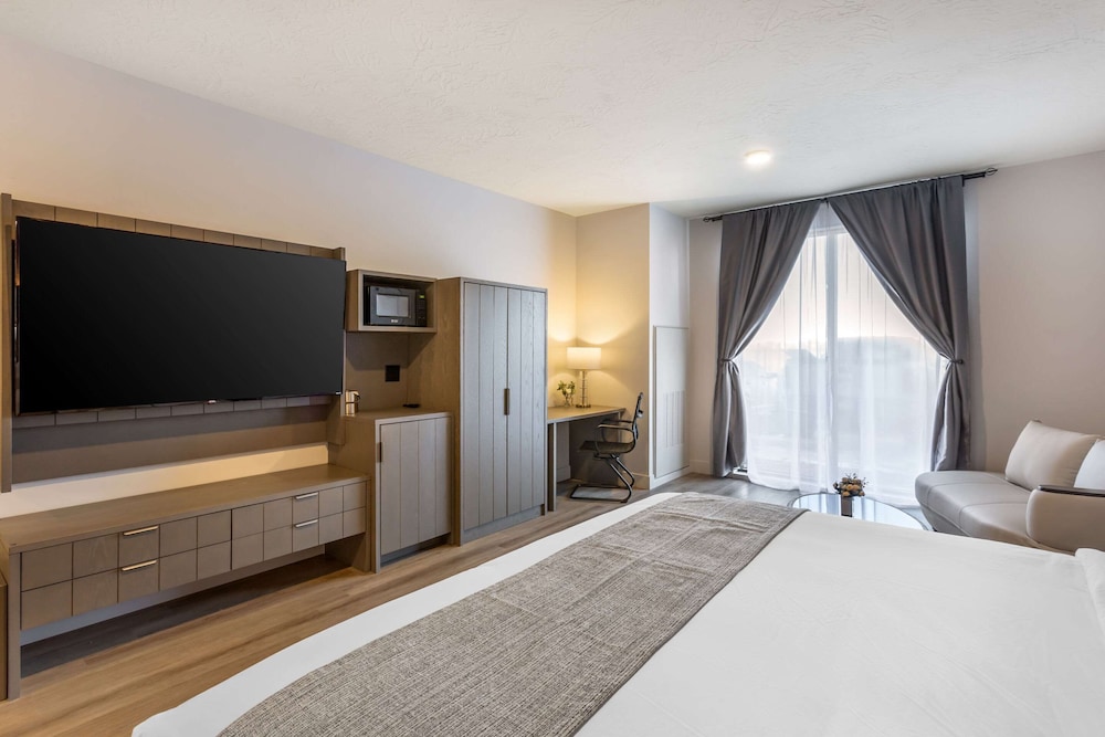 Room, 1 King Bed, Accessible, Non Smoking
