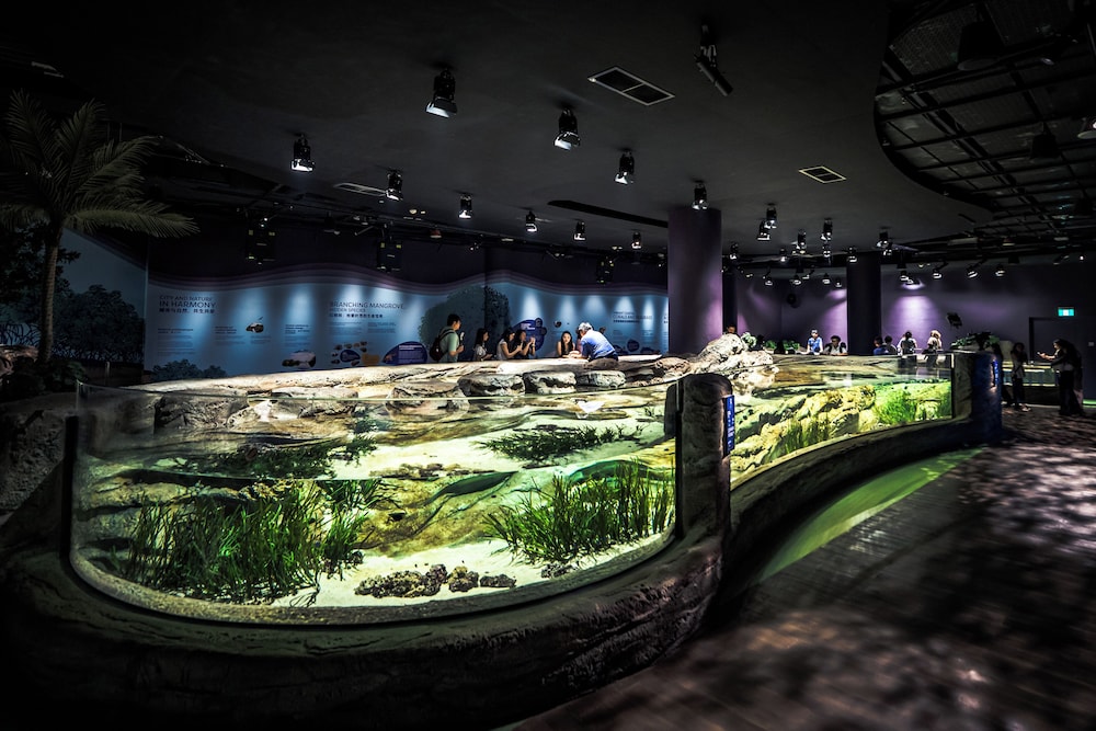 3D2N Seas The Day - Deluxe Room with Singapore Oceanarium Tickets for 2 persons