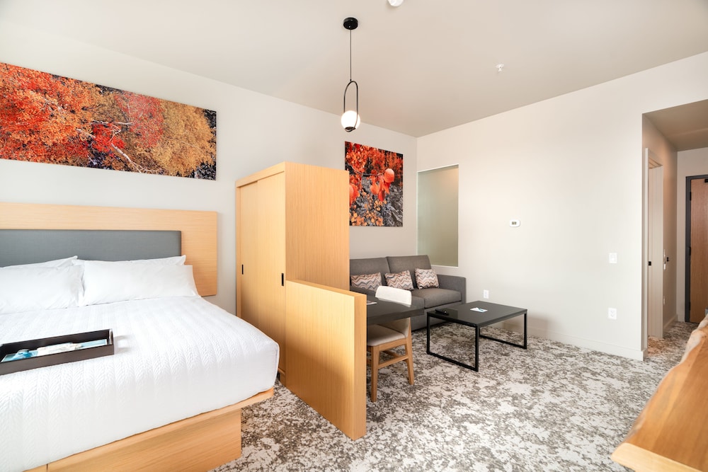 Standard Studio Suite, 1 King Bed with Sofa bed