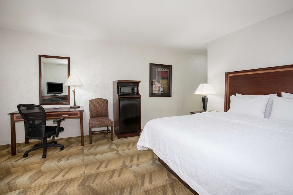 Room, 1 King Bed, Non Smoking - Photo 4