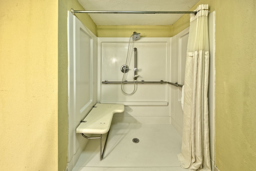 Room, 1 King Bed, Accessible (Roll-in Shower) - Photo 9