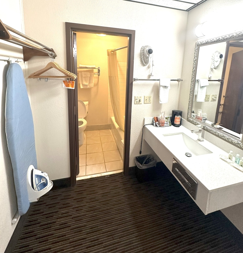 Standard Room, 1 Queen Bed, Non Smoking, Pets Allowed - Photo 15