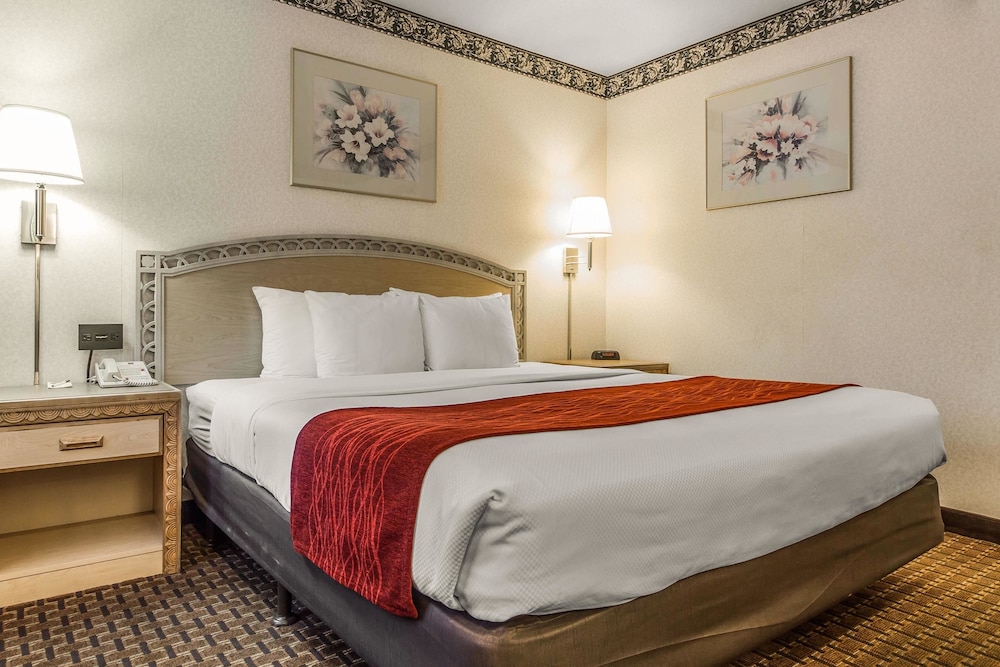 Standard Room, 1 King Bed - Photo 1