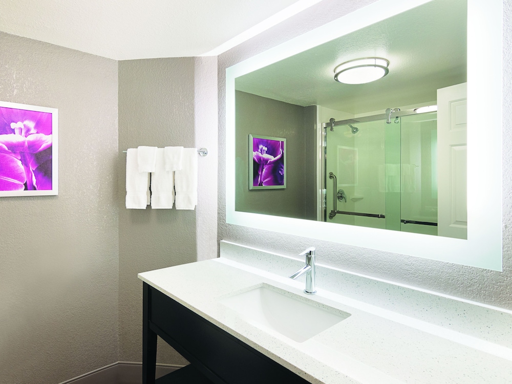 Executive Suite, 1 Bedroom, Non Smoking (Deluxe) - Photo 8