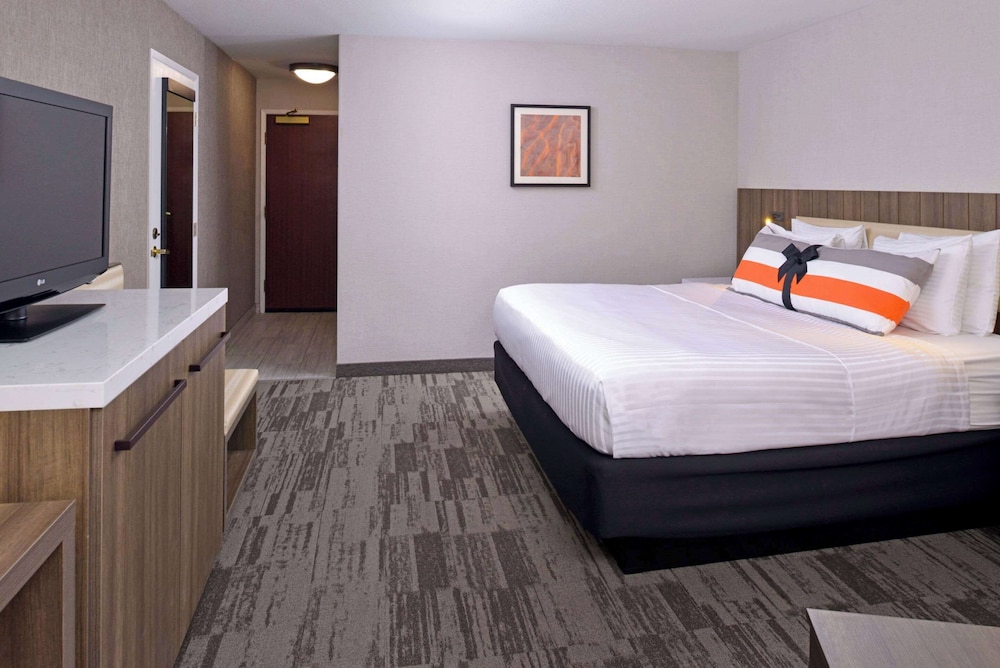 La Casa Modesto, Ascend Hotel Collection, Billede 3