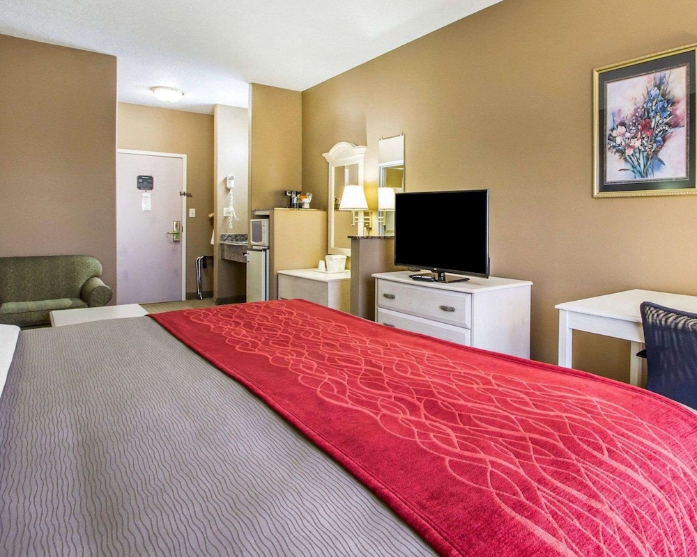 Room, 1 Queen Bed, Accessible, Non Smoking (Pet Friendly) photo 2