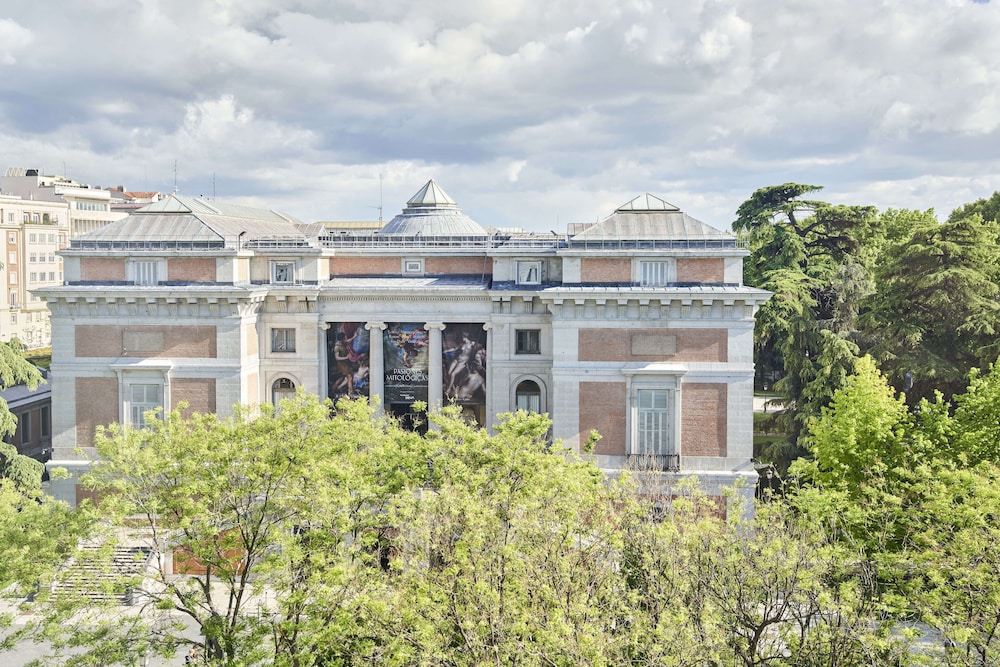 Premier Suite (Junior)