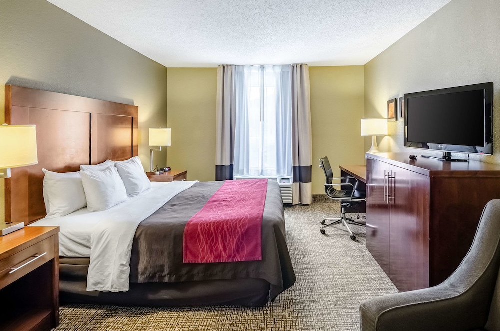 Suite, 1 King Bed, Accessible, Non Smoking - Photo 7