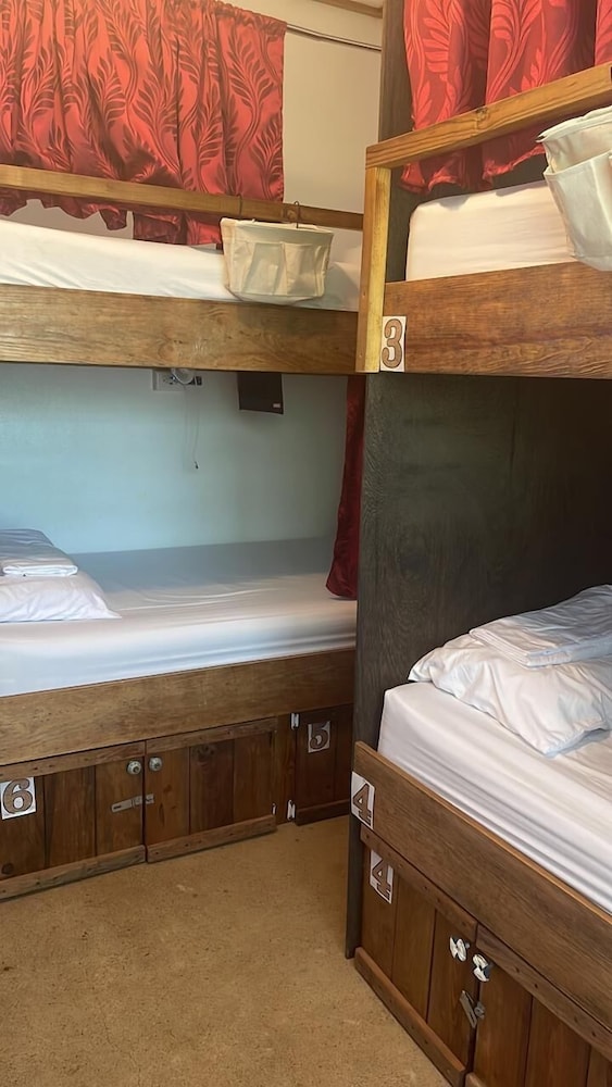 Basic Shared Dormitory photo 1