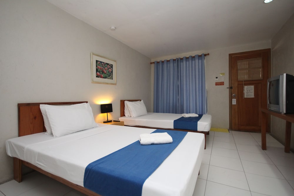 Superior Twin Room photo 3