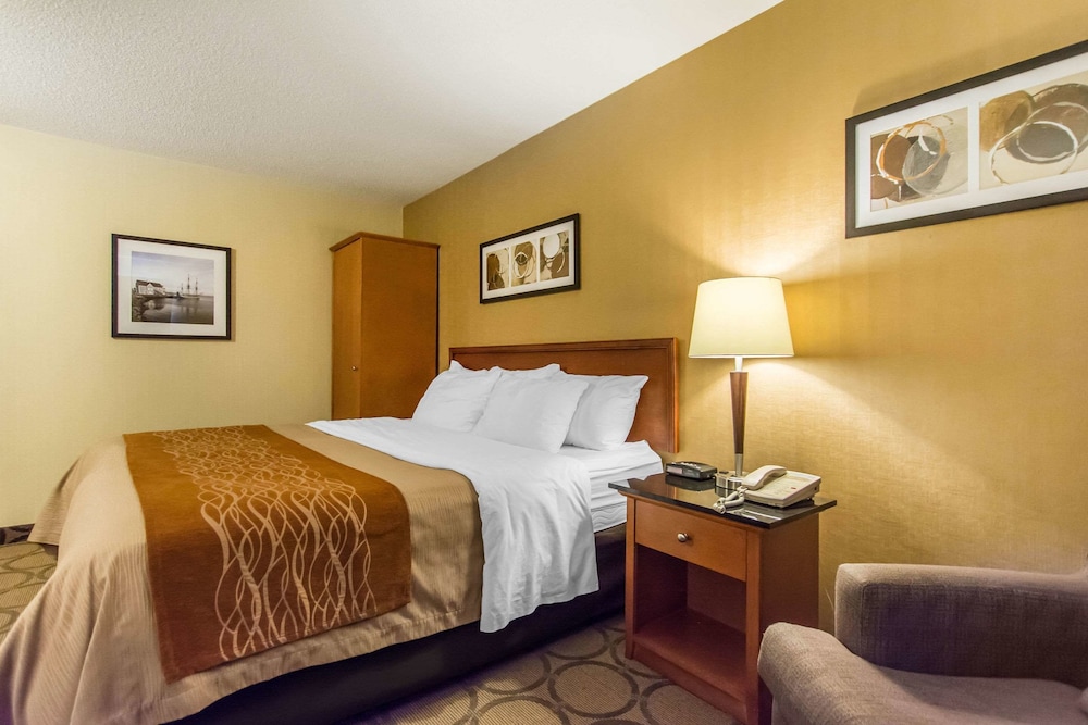 Standard Room, 1 King Bed, Non Smoking (Second Floor) - Photo 4
