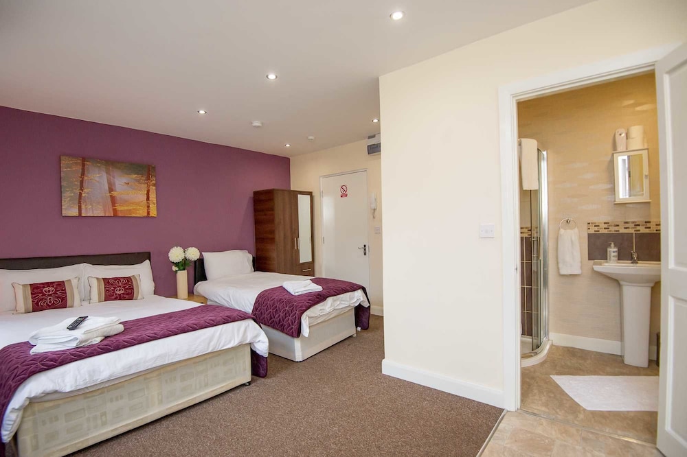 Deluxe Studio, Multiple Beds photo 1