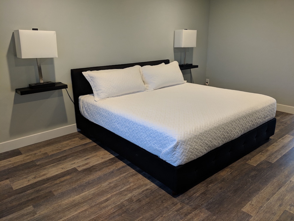 Premium Single Room, 1 King Bed photo 3