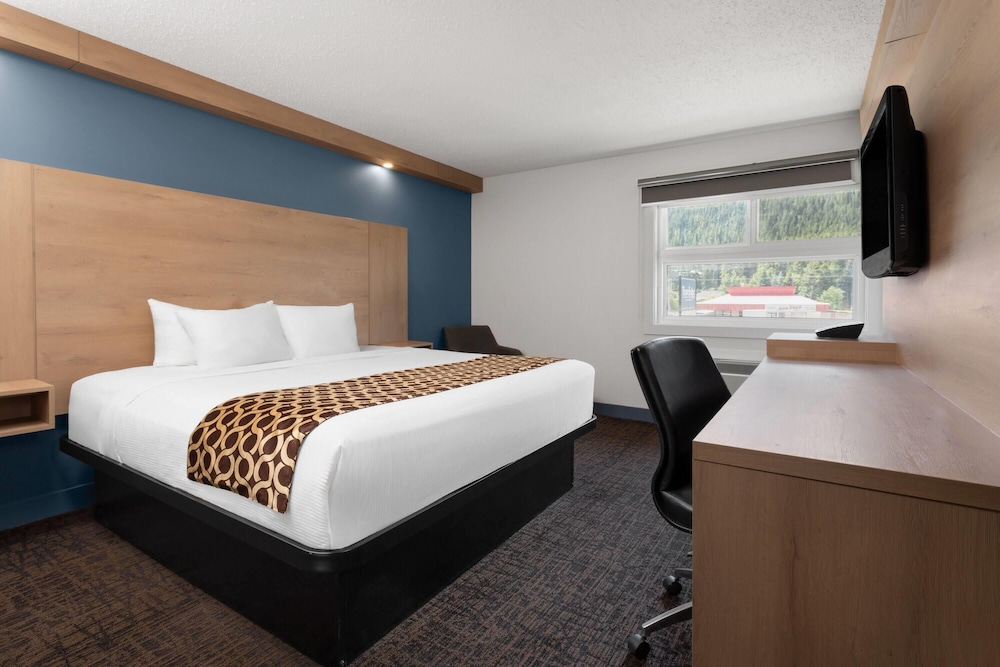 Room, 1 King Bed, Non Smoking (Pet-Friendly) photo 3