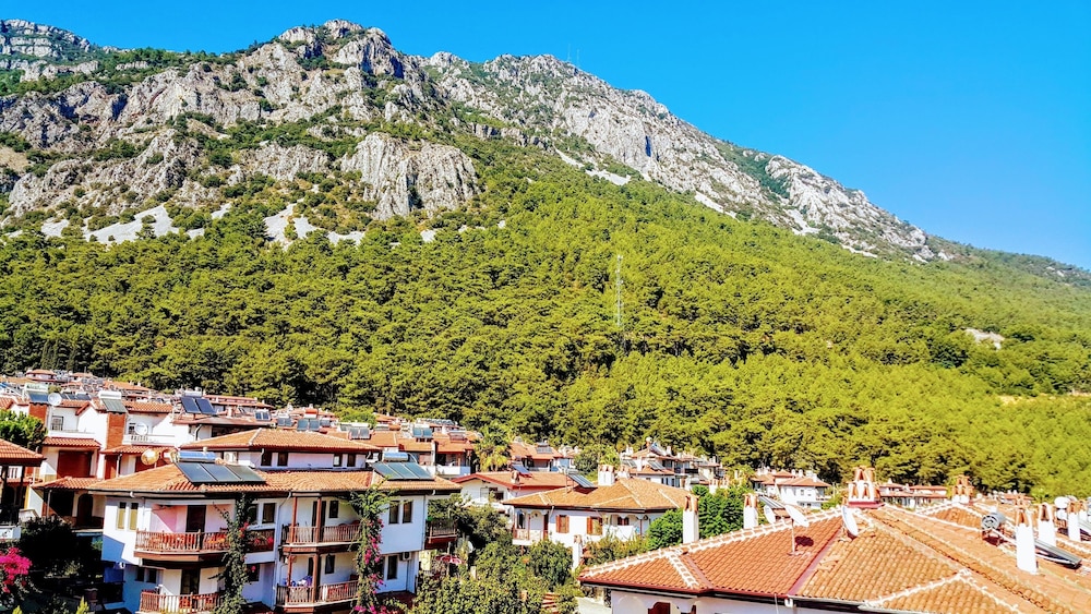 Family Apartment, 1 Bedroom, Smoking, Mountain View photo 2