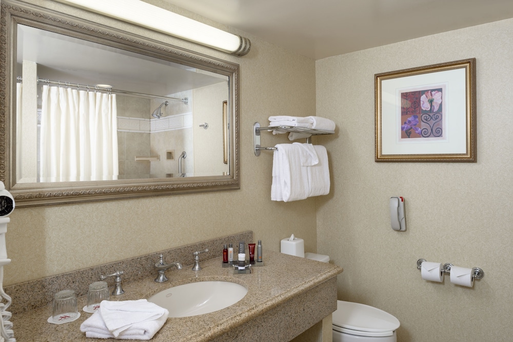Room, Multiple Beds - Photo 5