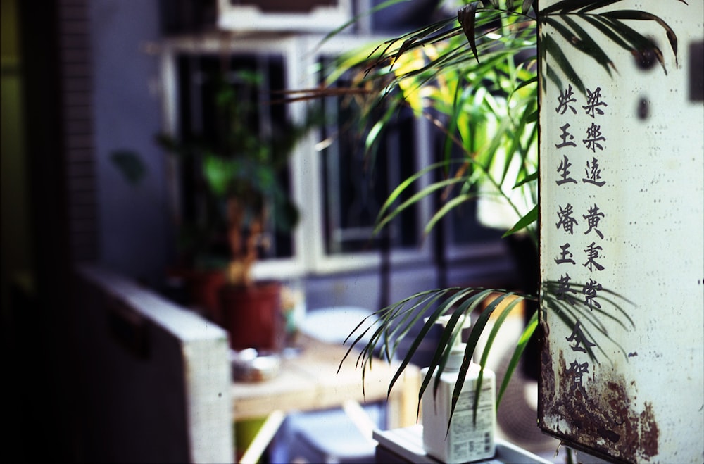 Basic Shared Dormitory photo 3