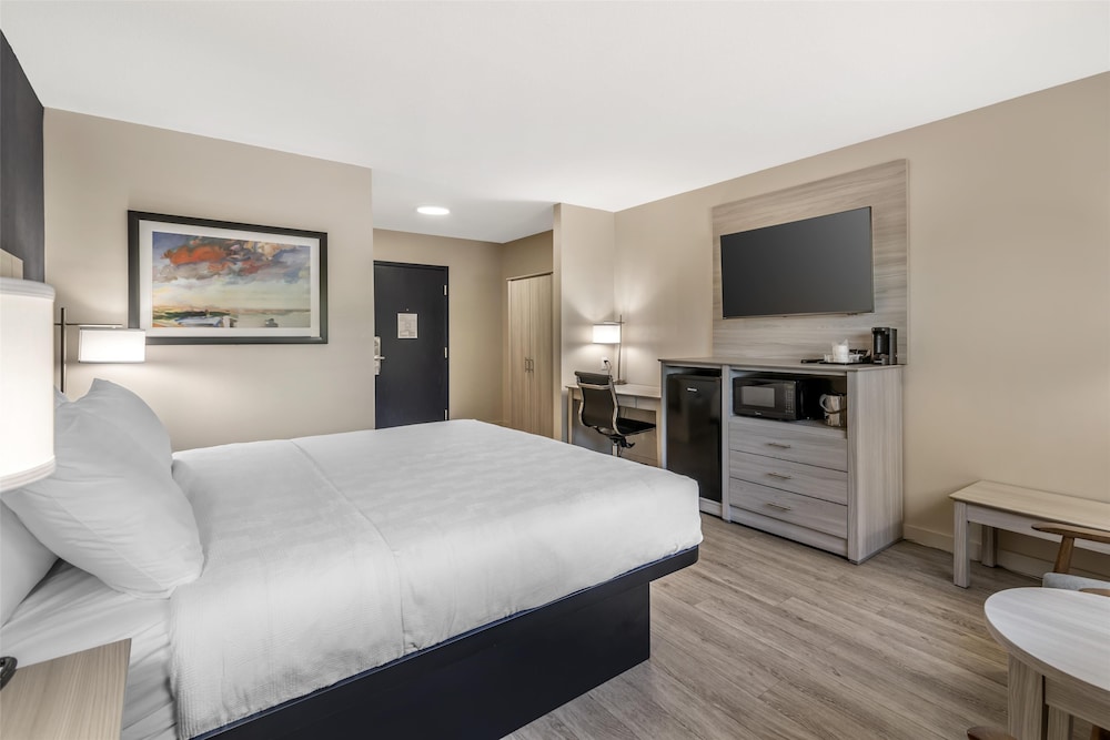 Standard Room, 1 King Bed, Non Smoking (Walk-in Shower;Pet Friendly) photo 3