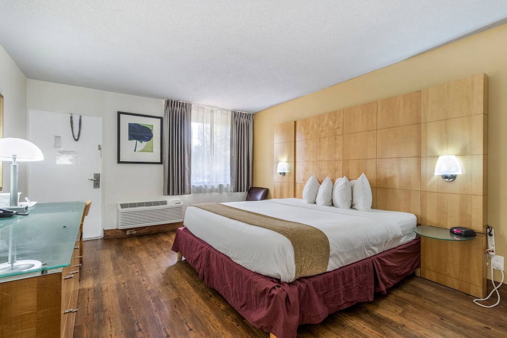 Comfort Single Room, 1 King Bed, Non Smoking photo 1