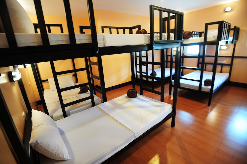 Basic Shared Dormitory, Women only photo 3