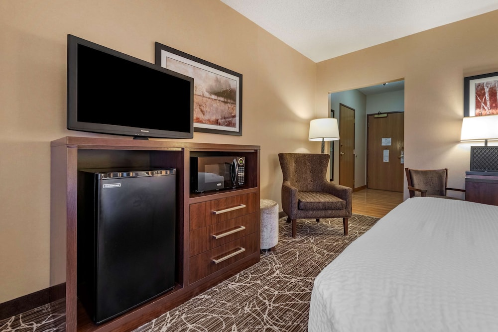 Standard Room, 1 Queen Bed, Accessible, Refrigerator & Microwave photo 3
