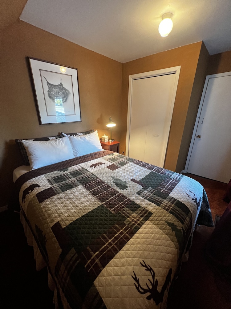 Animal Room (1 Queen Bed)