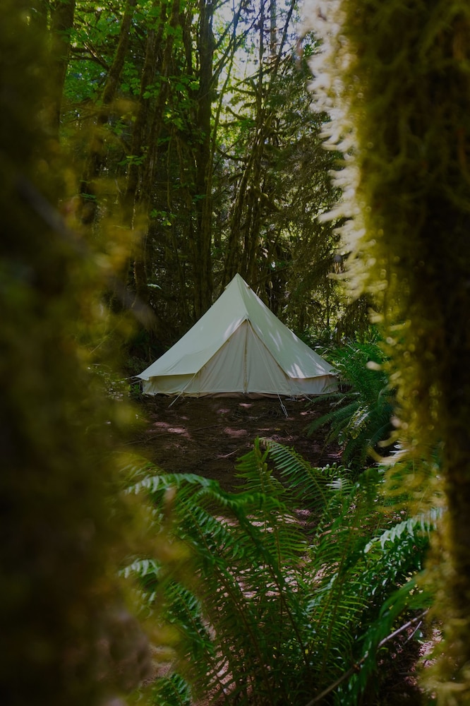 Tent photo 2