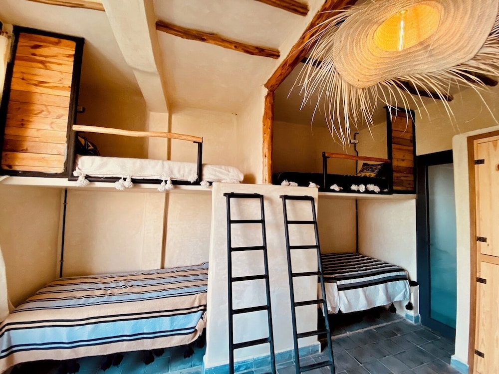 Comfort Shared Dormitory photo 3