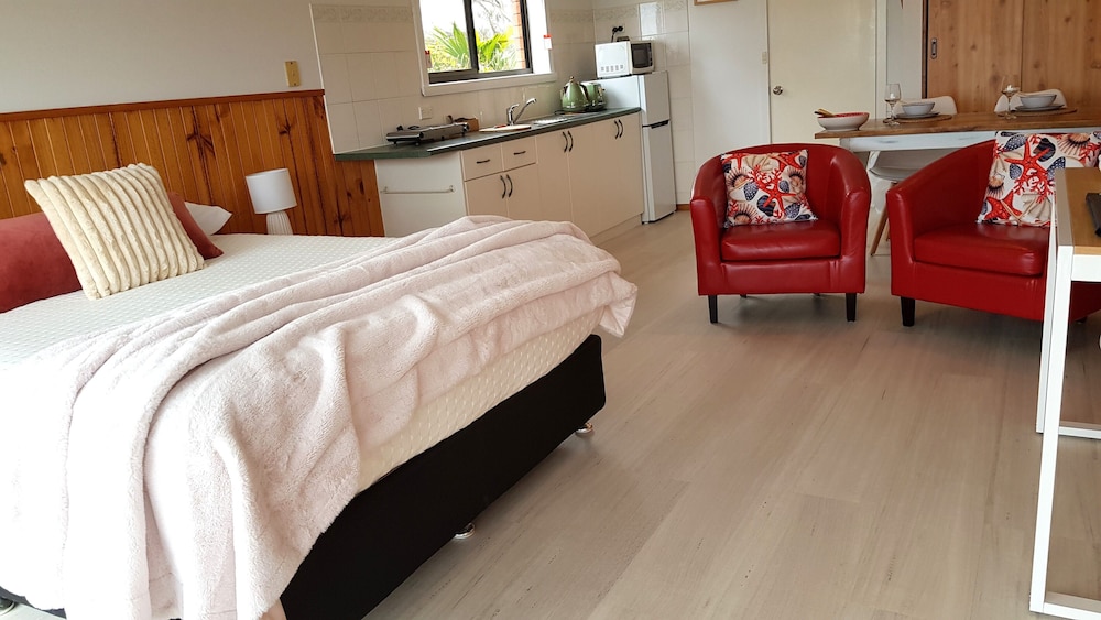 Premium Studio, 1 Queen Bed photo 1