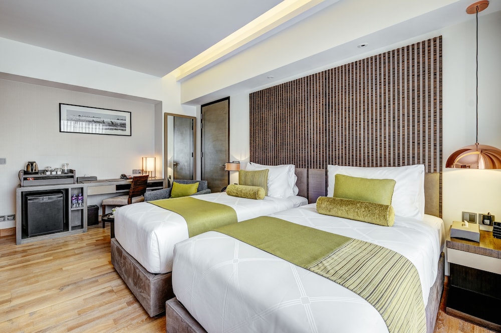 Executive Twin Room, 2 Twin Beds, Accessible, Smoking photo 3