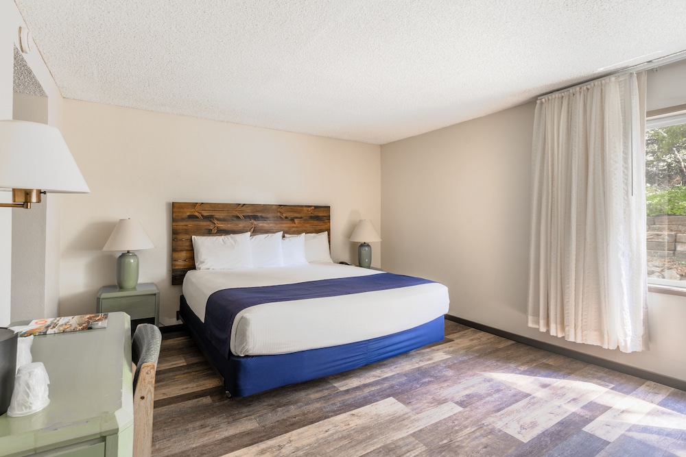 Standard Room, 1 King Bed, Dogs Allowed, Ground Floor photo 1
