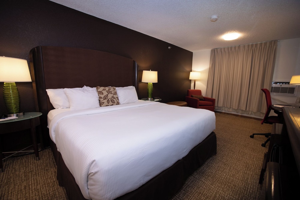 Handicap Accessible Single Room, 1 King Bed, Non Smoking - Photo 1