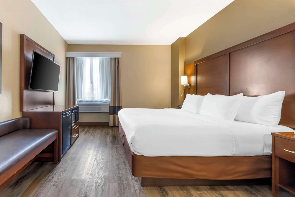 1 King Bed, Suite with Sofabed, Nonsmoking, Accessible photo 1