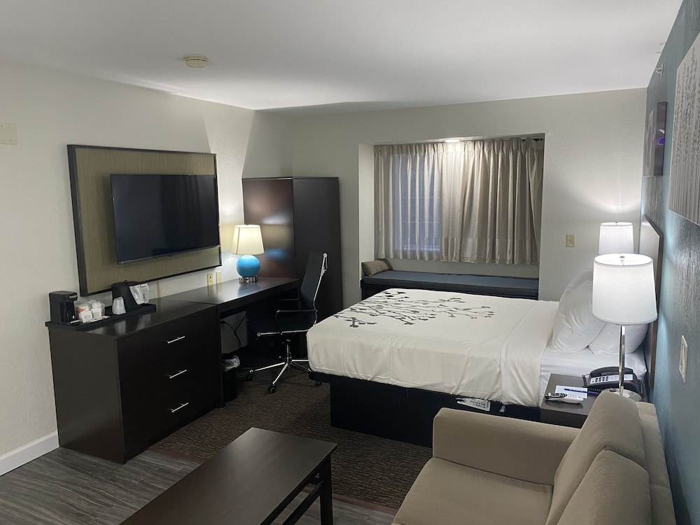 Suite, 1 Queen Bed with Sofa bed, Non Smoking (Efficiency) - Photo 2