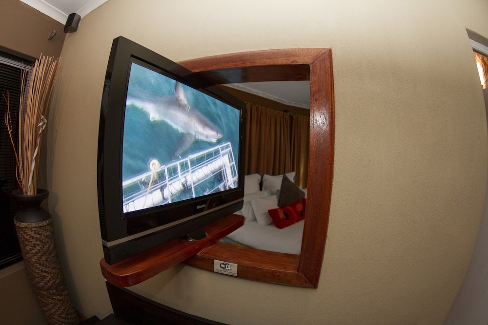 Carcharias Suite photo 2